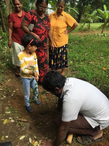 A tree planting program at "Sanhinda" Elderly Daycare Center (2024-06-06)